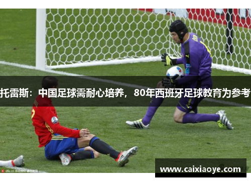 托雷斯：中国足球需耐心培养，80年西班牙足球教育为参考